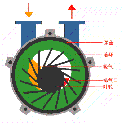 水环泵原理动图.gif